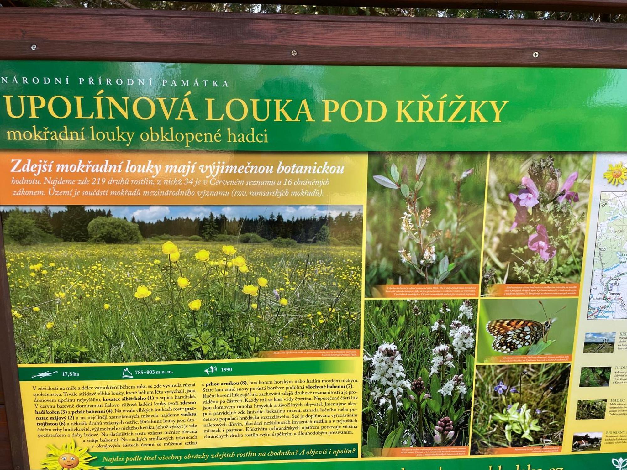 Na Nebi 187 Lejlighedshotel Bečov nad Teplou Eksteriør billede